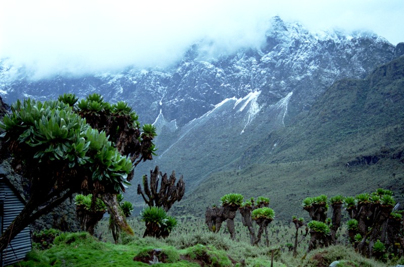 Uganda Named one of the most Beautiful Countries on earth